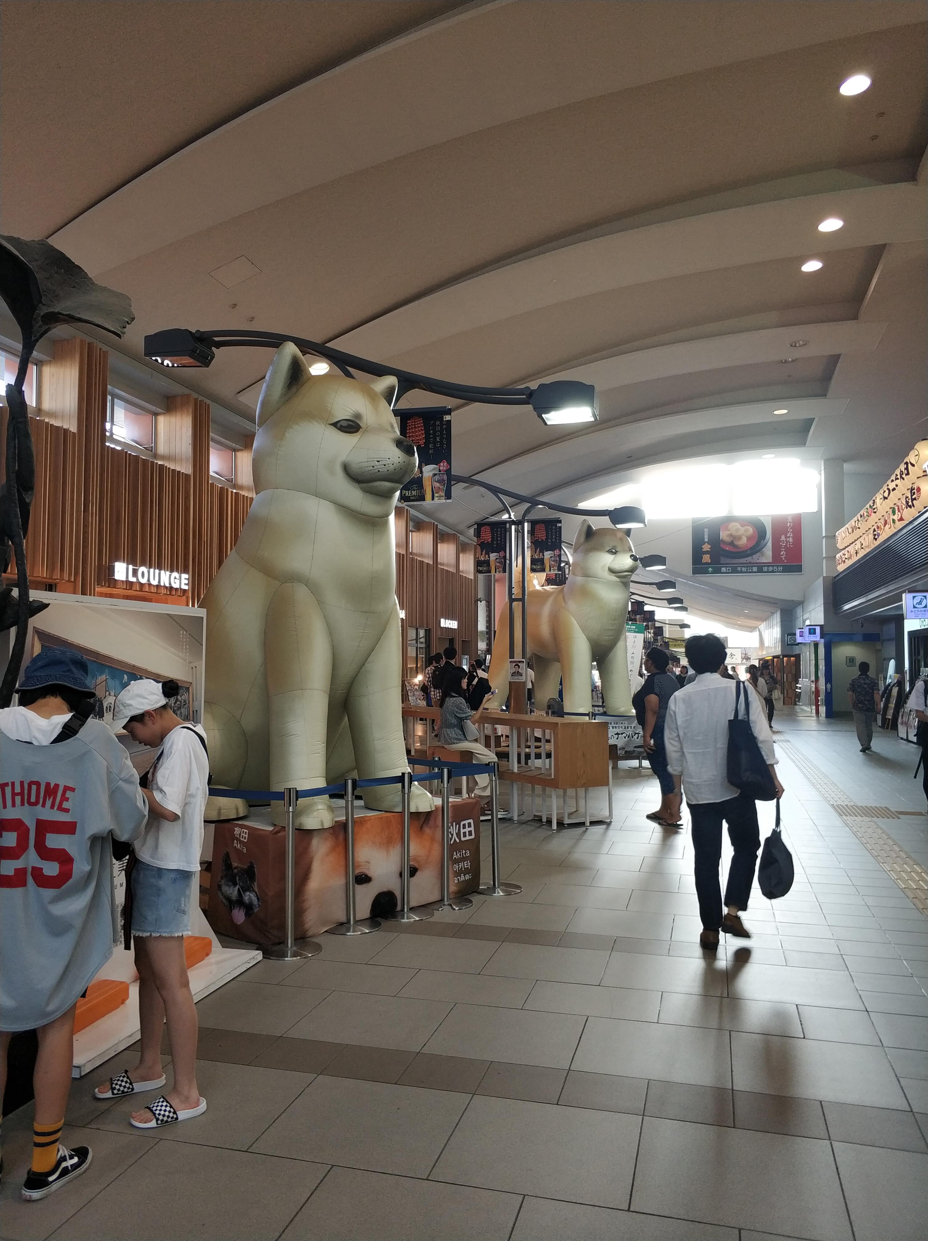 车站里的,犬神?