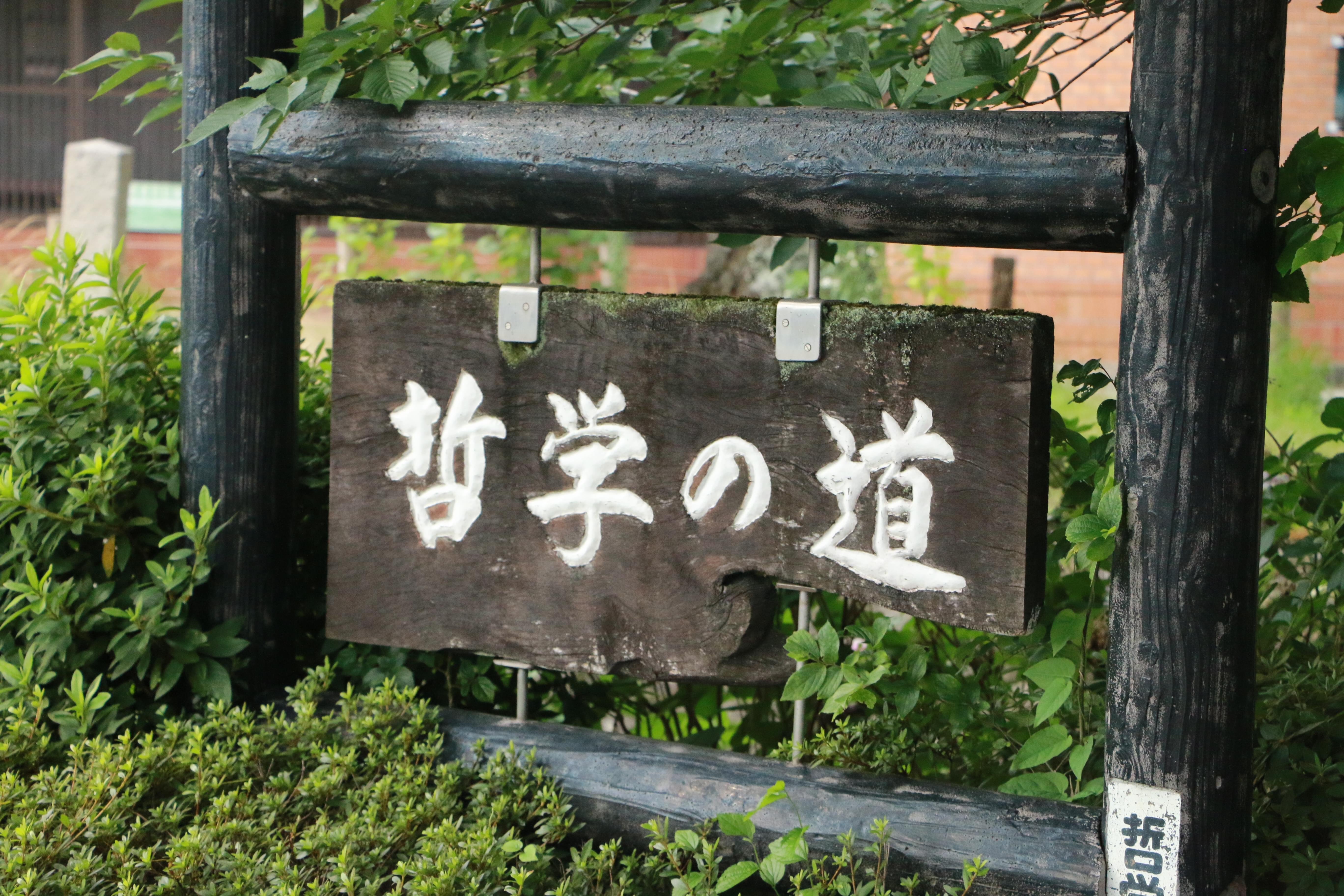 看到这个名字的时候我们是很,蜜汁兴奋,的